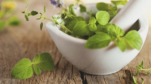 herbs to increase efficiency